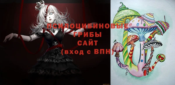 spice Карпинск
