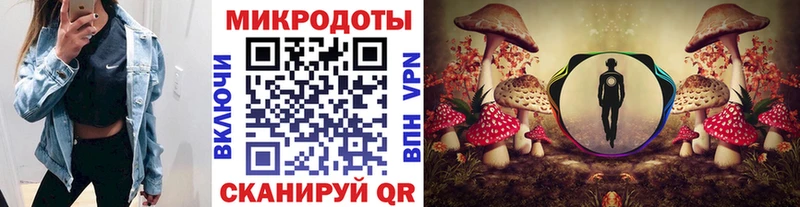 Купить  Красный Холм  Галлюциногенные грибы Cubensis 